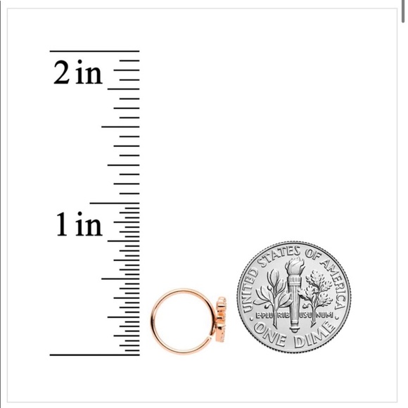 NWOT 18 Gauge Nose Ring - Picture 3 of 6